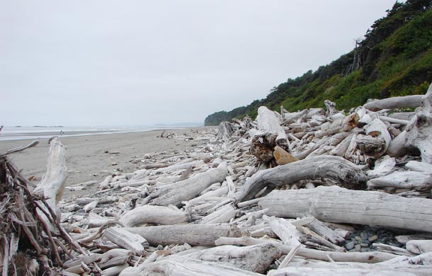 Ocean Shores