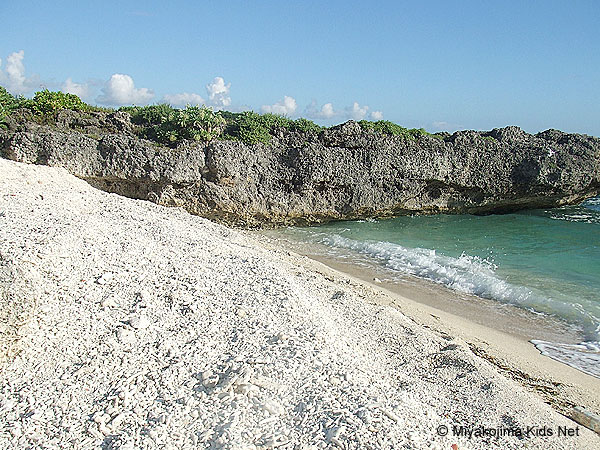 Miyako Island Corals