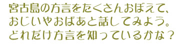 宮古島の方言